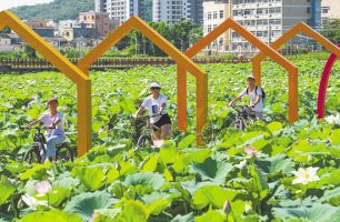 賞荷景品荷韻 赴一場仲夏之約